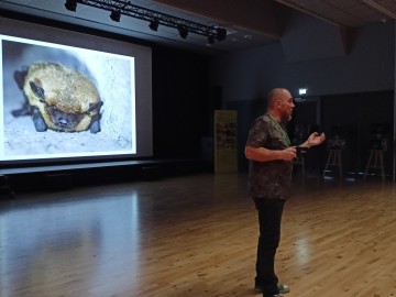 Noc nietoperzy w Zapolicach, 